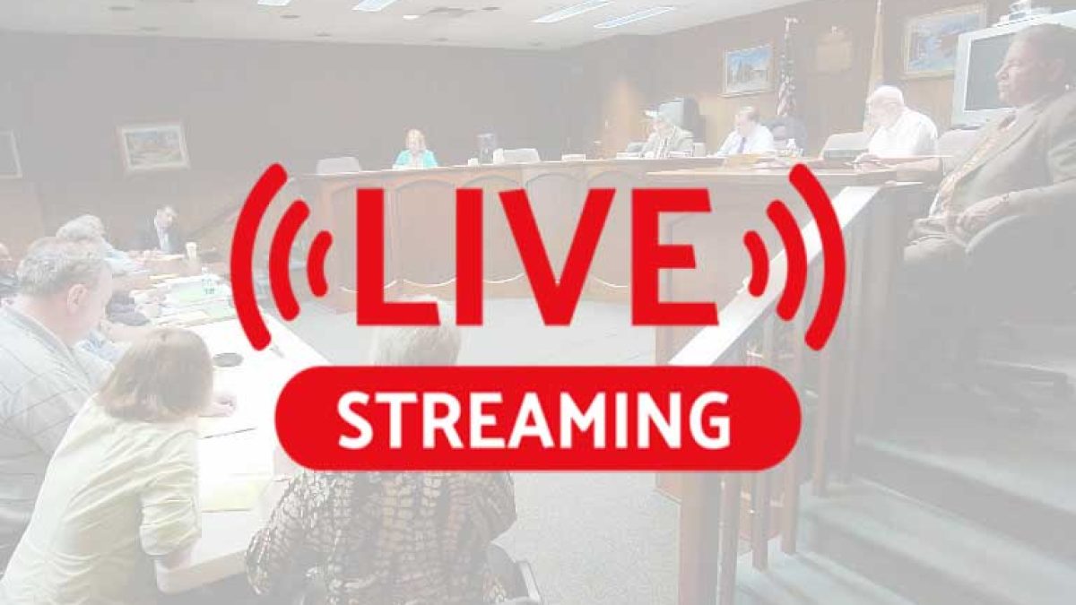 live stream icon