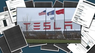 tesla buffalo